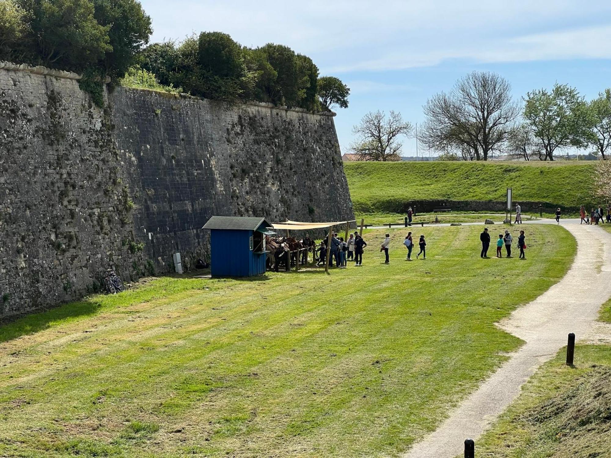 Les Amareyeurs - Ile D'Oleron - Maison Classee 3 Etoiles Avec Piscine - Clim - Velos Le Château-dʼOléron Zewnętrze zdjęcie